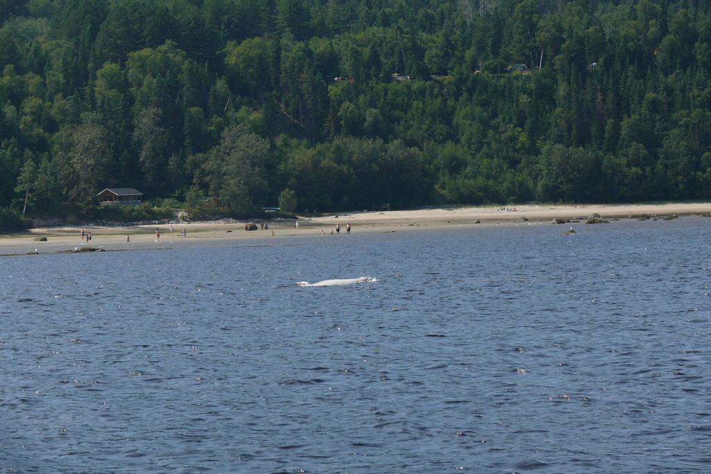 Riviere Petit Saguenay Villa Kültér fotó